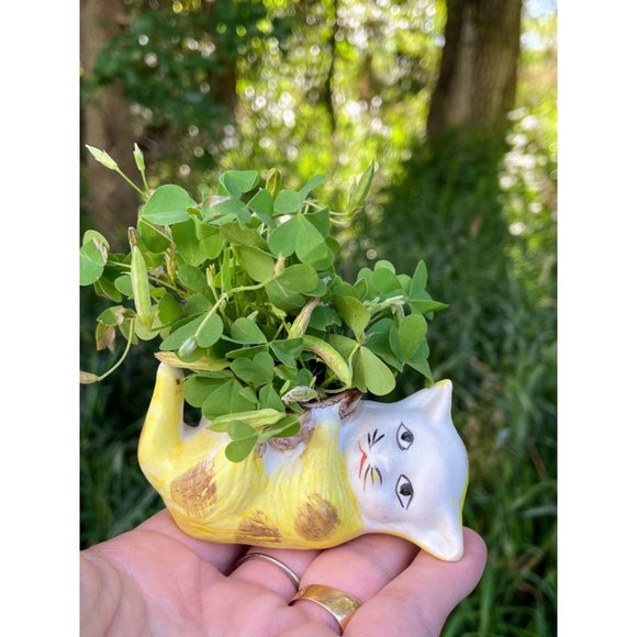 Vintage Bisque Porcelain Small Sad Kitty Cat Planter Vase - Picture 7 of 11